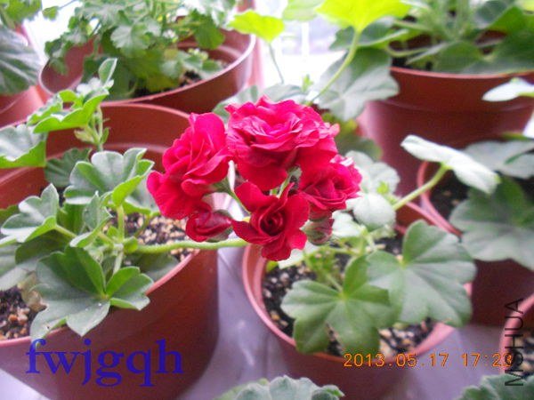 ��Ƭ 137_����.jpg