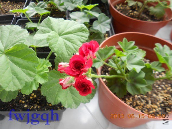 ��Ƭ 042_����.jpg