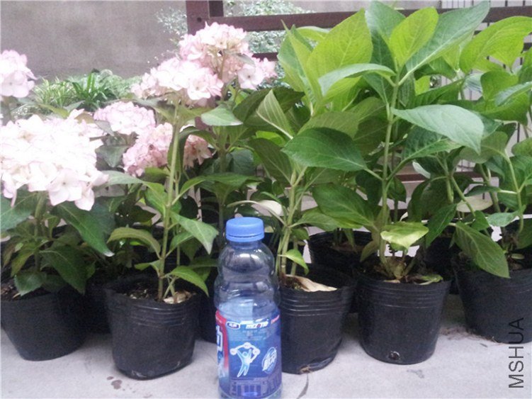 20130517_170732_����.jpg