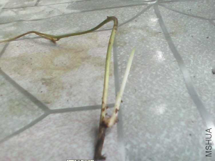 20130517211450.jpg
