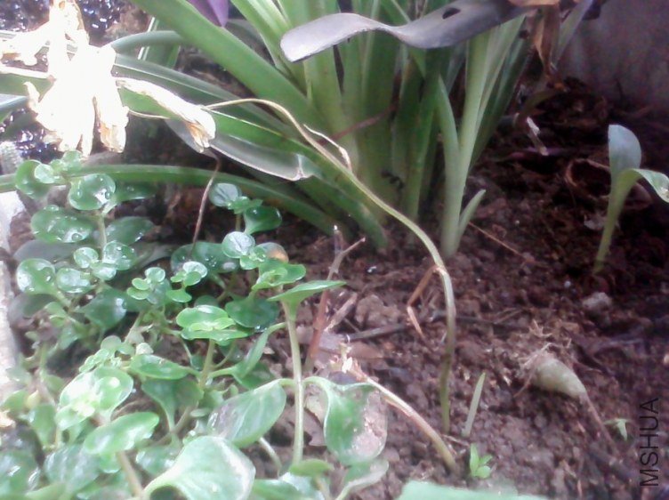 20130517211355.jpg