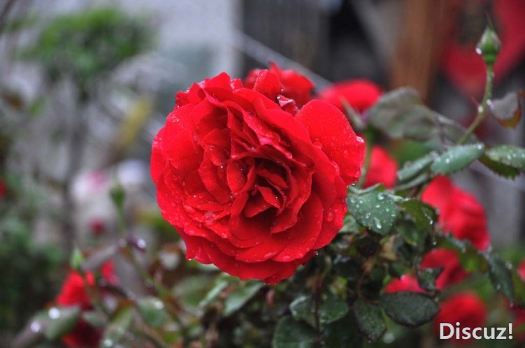 DSC_1156.jpg