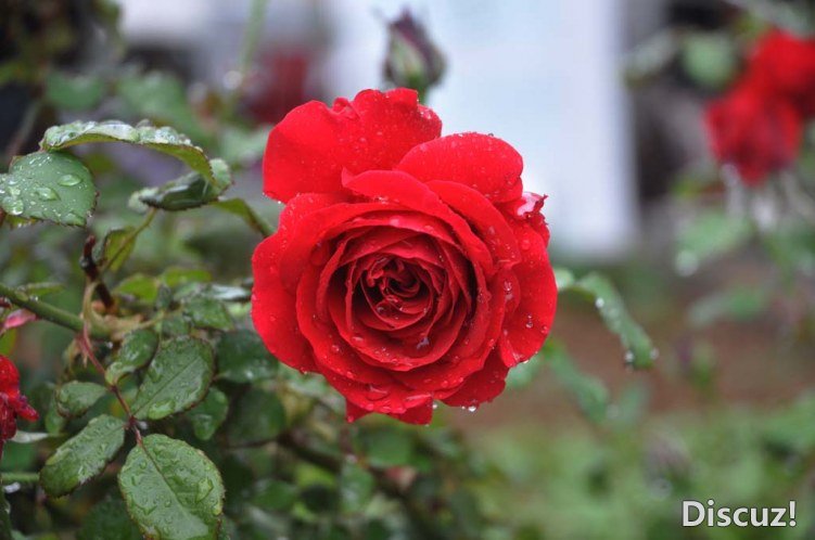 DSC_1157.jpg