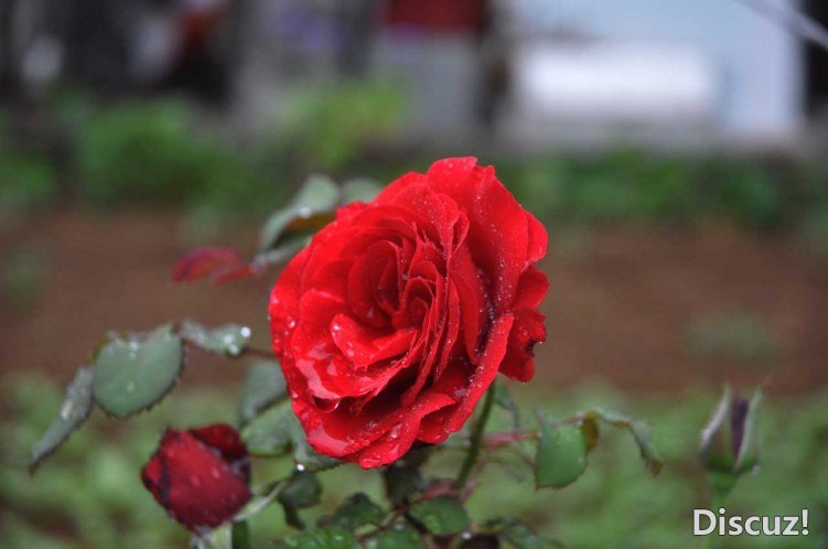 DSC_1158.jpg