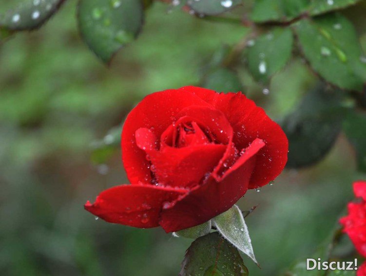 DSC_1159.jpg