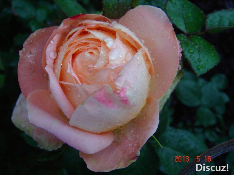 ��Ƭ 010_����.jpg