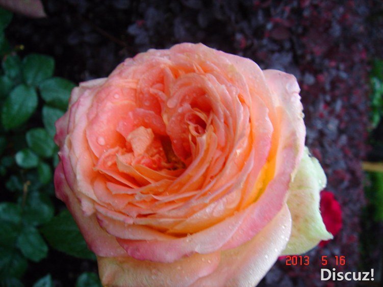 ��Ƭ 011_����.jpg