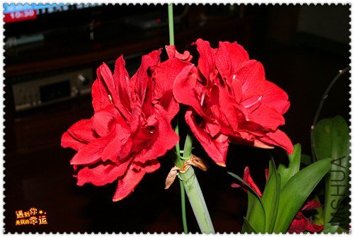 ��Ƭ 017_����.jpg