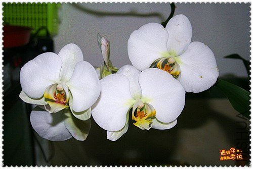 ��Ƭ 018_����.jpg