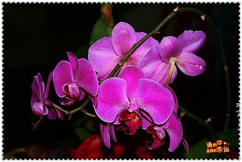 ��Ƭ 019_����.jpg