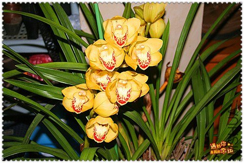 ��Ƭ 024_����.jpg