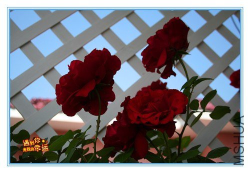 ��Ƭ 043_����.jpg