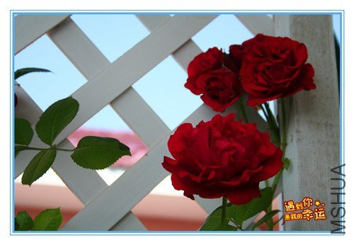 ��Ƭ 044_����.jpg