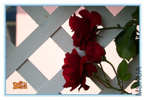 ��Ƭ 047_����.jpg