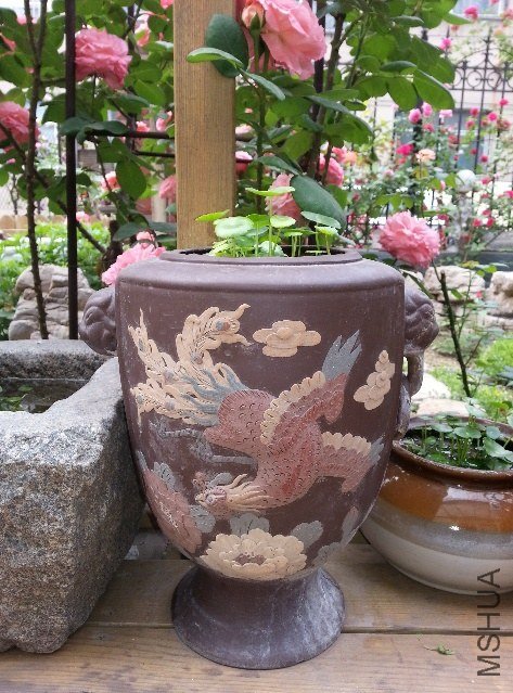 20130517_083914_mh000.jpg