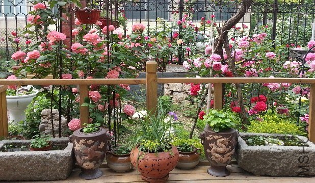 20130517_084137_mh000.jpg