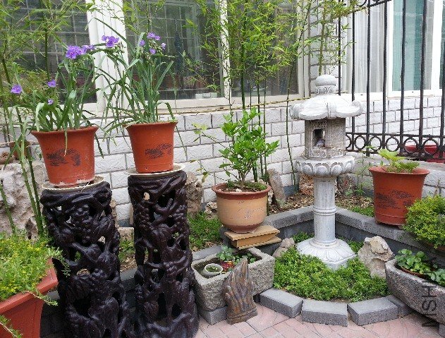 20130517_085619_mh000.jpg