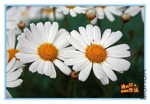 ��Ƭ 076_����.jpg