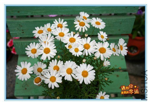 ��Ƭ 073_����.jpg