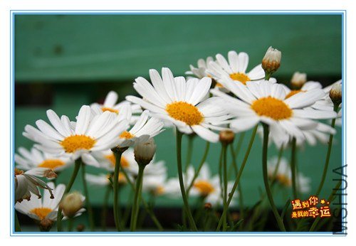 ��Ƭ 074_����.jpg