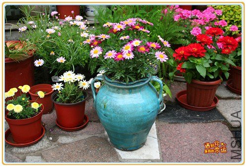 ��Ƭ 162_����.jpg