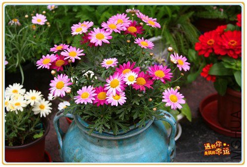 ��Ƭ 163_����.jpg