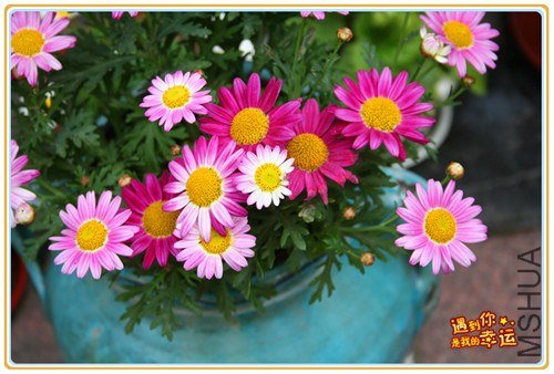 ��Ƭ 164_����.jpg