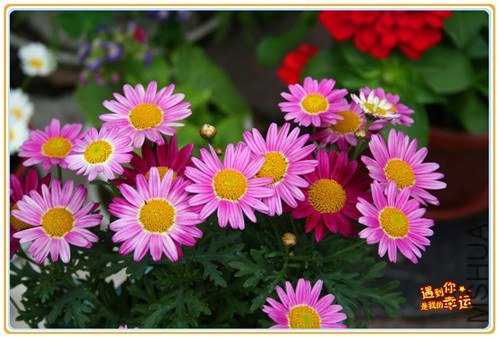 ��Ƭ 165_����.jpg