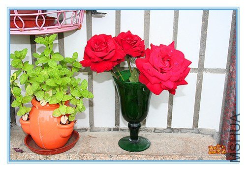 ��Ƭ 011_����.jpg