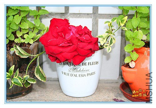 ��Ƭ 012_����.jpg