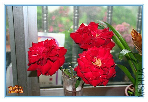 ��Ƭ 015_����.jpg