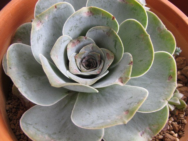 5�µĶ��� 016.JPG