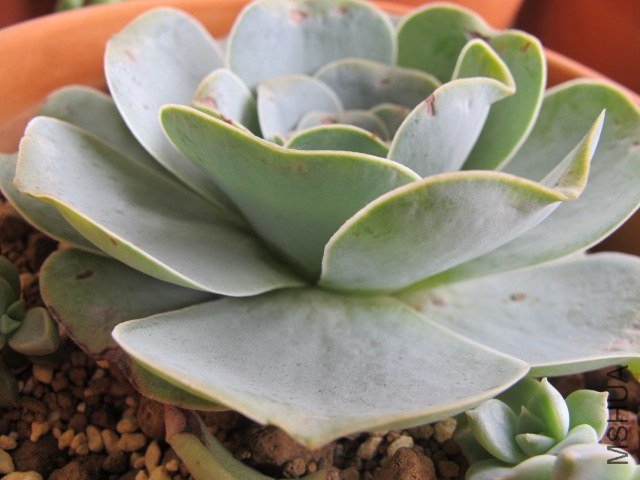 5�µĶ��� 017.JPG