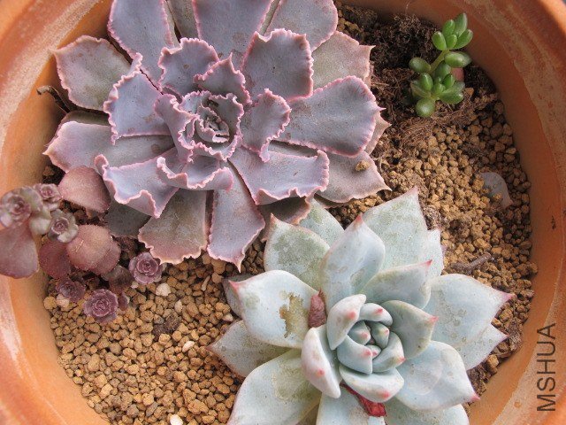 5�µĶ��� 009.JPG