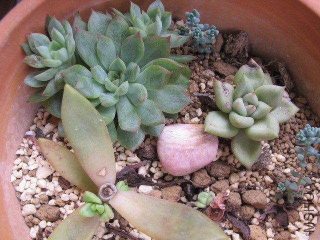 5�µĶ��� 010.JPG