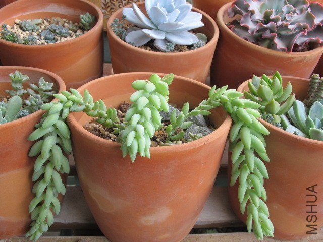 5�µĶ��� 018.JPG