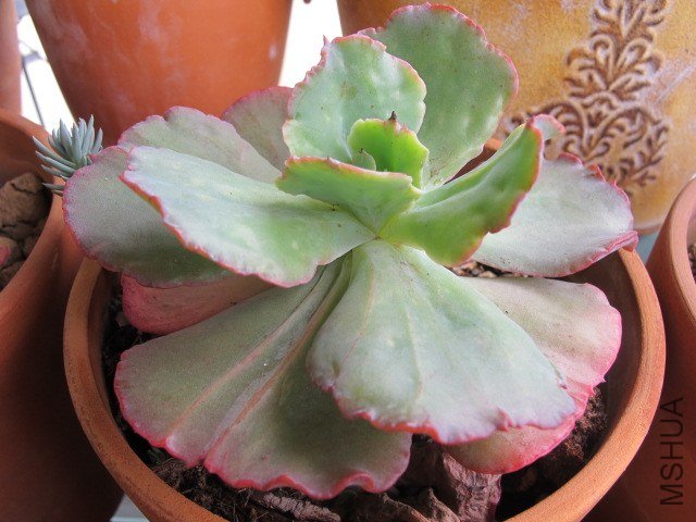 5�µĶ��� 019.JPG