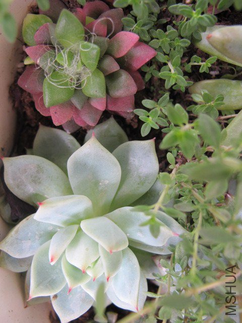 5�µĶ��� 024.JPG