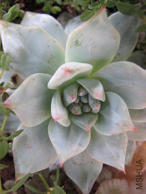 5�µĶ��� 023.JPG