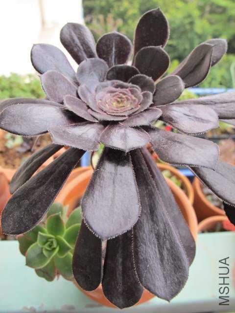 5�µĶ��� 031.JPG