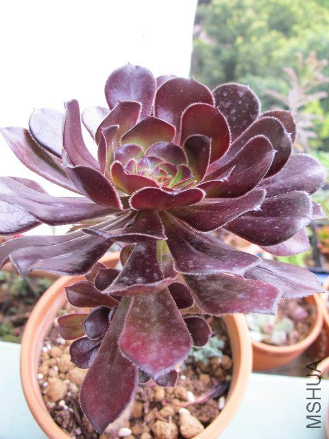 5�µĶ��� 032.JPG