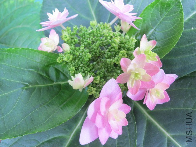 5�µĶ��� 021.JPG