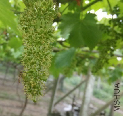 QQͼƬ20130518212610.jpg