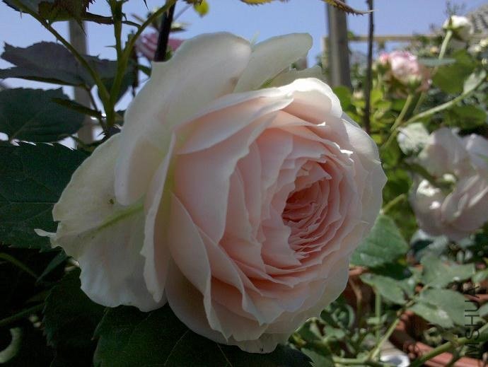 2013����5.JPG