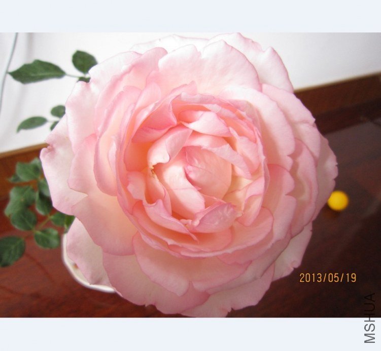 QQͼƬ20130519112827.jpg