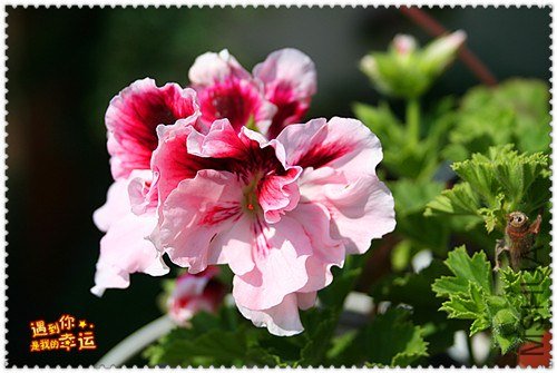 ��Ƭ 150_����.jpg