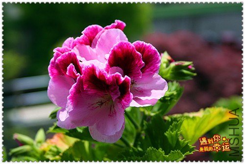 ��Ƭ 156_����.jpg