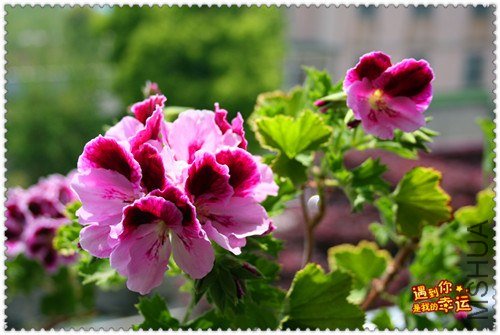 ��Ƭ 155_����.jpg