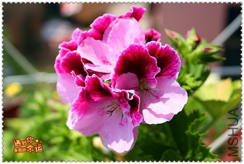 ��Ƭ 157_����.jpg