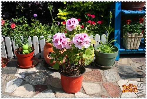 ��Ƭ 158_����.jpg